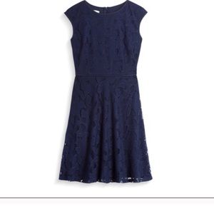 Wisp Navy Lace Dress
